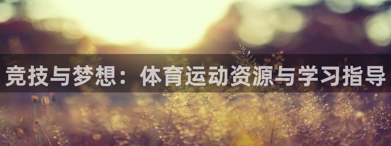 海南3377体育官网下载发展怎么样:竞技与梦想:体育运动资源